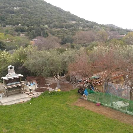 Martha'S Villa Nea Iraklitsa Exterior photo