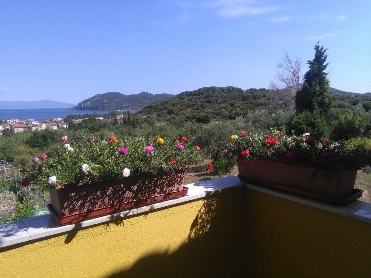Martha'S Villa Nea Iraklitsa Exterior photo