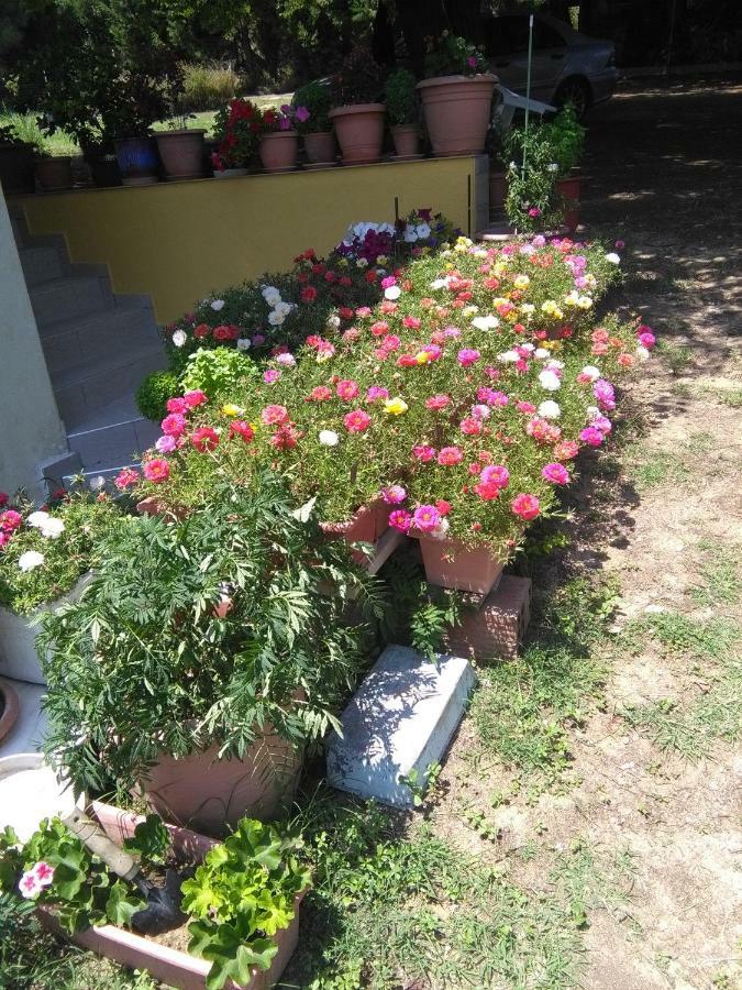 Martha'S Villa Nea Iraklitsa Exterior photo
